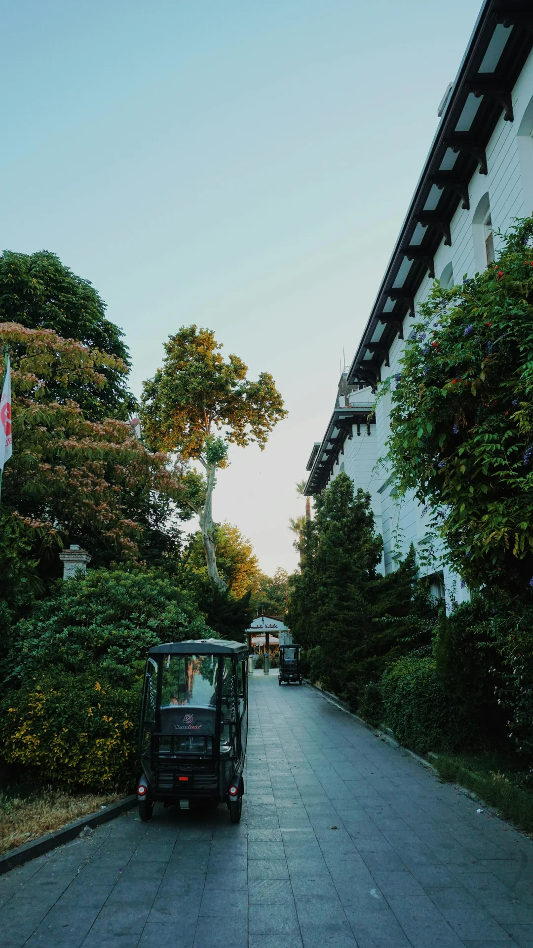 pexels-nihat-kucuk-2152425147-33081145